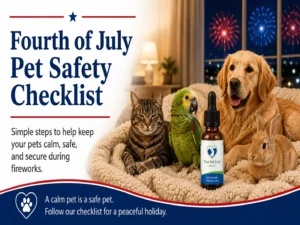 Fourth of July Pet Safety Series, Part 5: Pet Safety Checklist for Dogs, Cats, and Birds